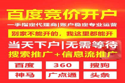 案例剖析：SEM代运营服务公司的优势与挑战